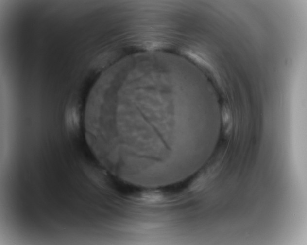 X0000088920214200706081405