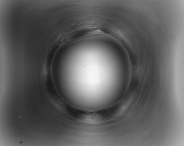 X0000088920215200706081405