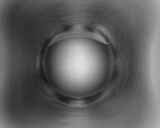 X0000088920217200706081405