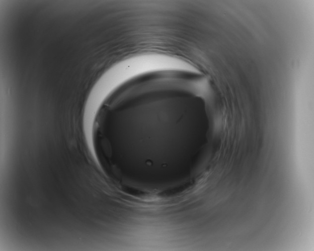 X0000088920219200706081405