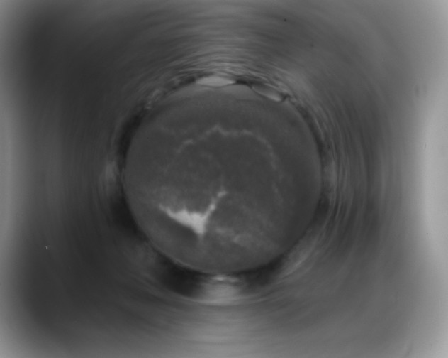 X0000088920222200706081405