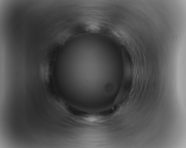 X0000088920223200706081405