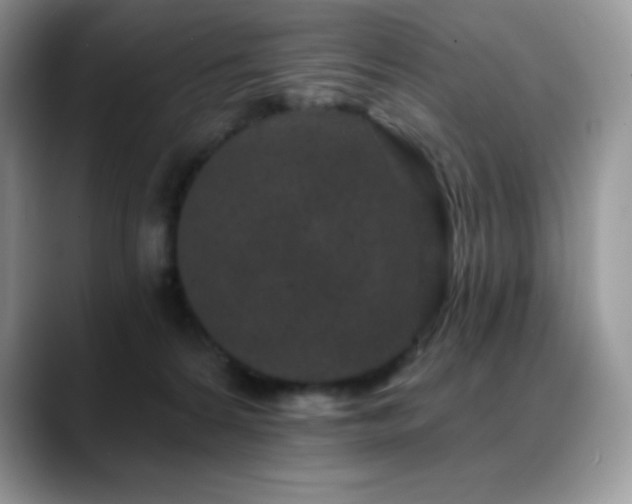 X0000088920224200706081405