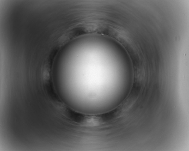 X0000088920226200706081405