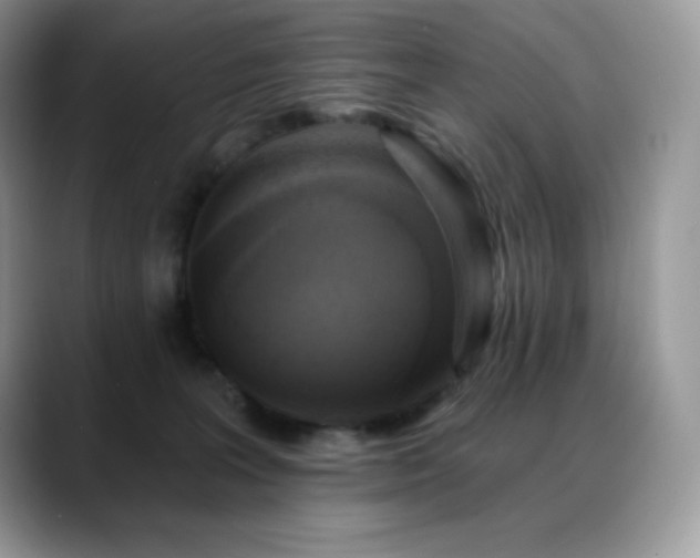 X0000088920227200706081405
