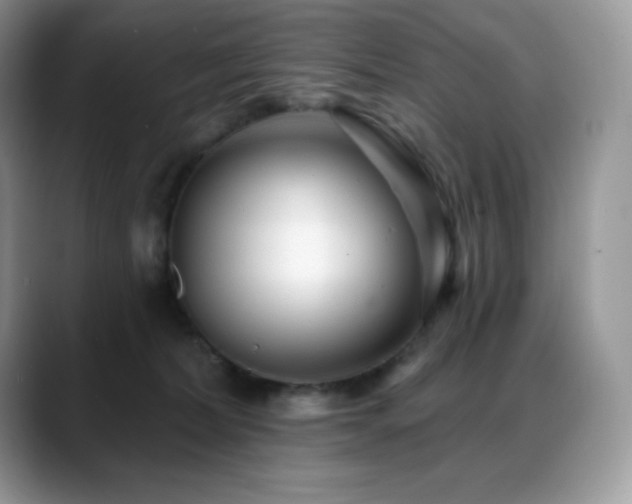 X0000088920228200706081405