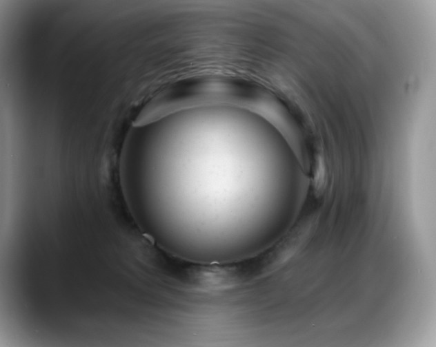 X0000088920229200706081405