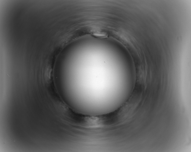 X0000088920230200706081405