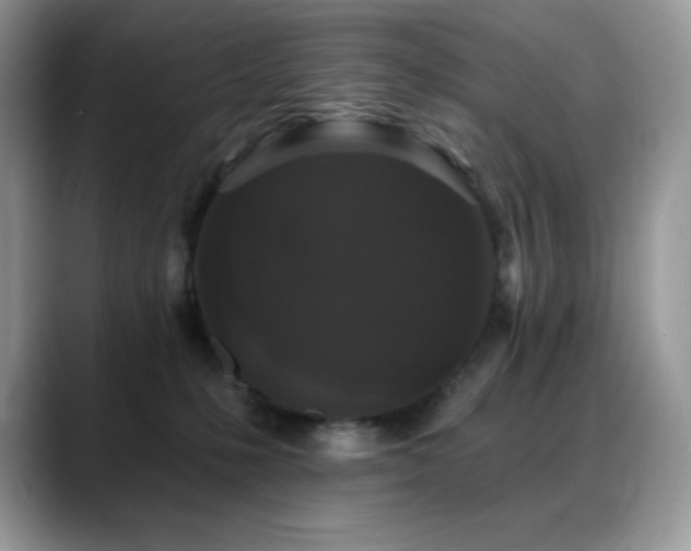 X0000088920231200706081405