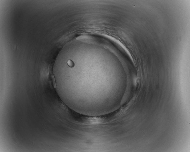 X0000088920233200706081405