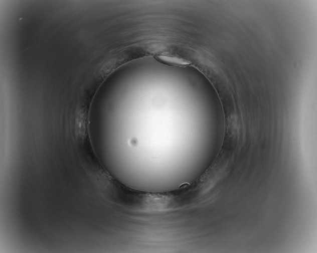 X0000088920234200706081405