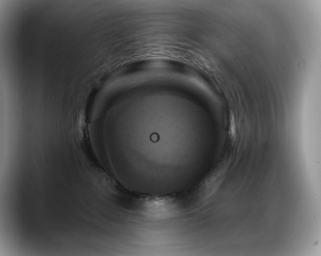 X0000088920235200706081405