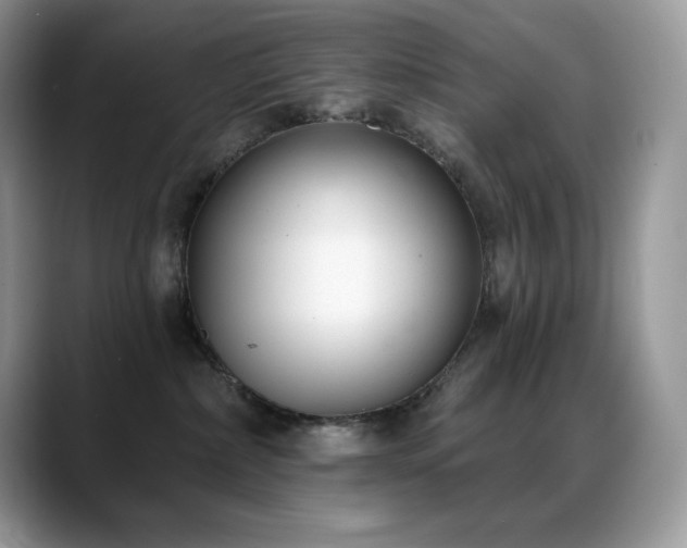 X0000088920236200706081405
