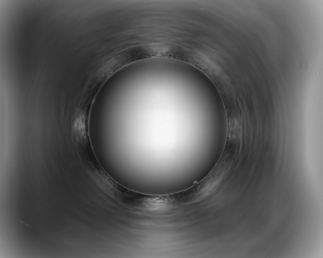 X0000088920238200706081405