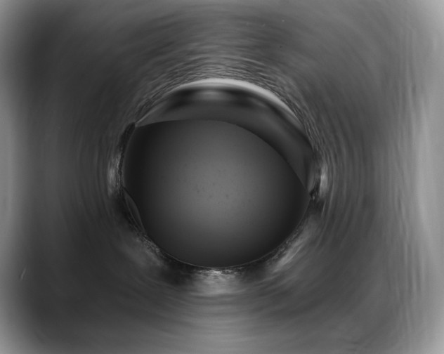 X0000088920239200706081405
