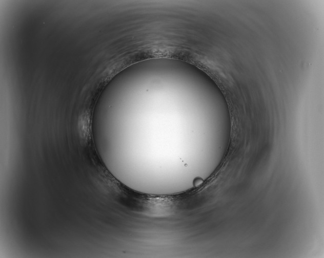 X0000088920240200706081405