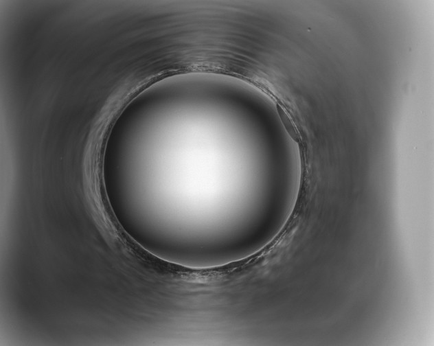 X0000088920241200706081404
