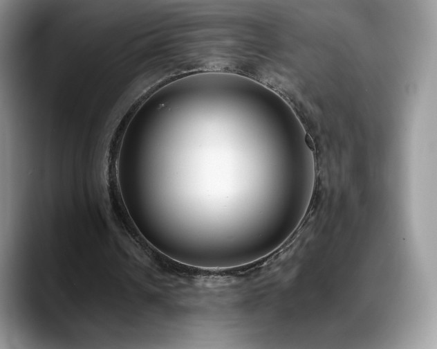 X0000088920242200706081404