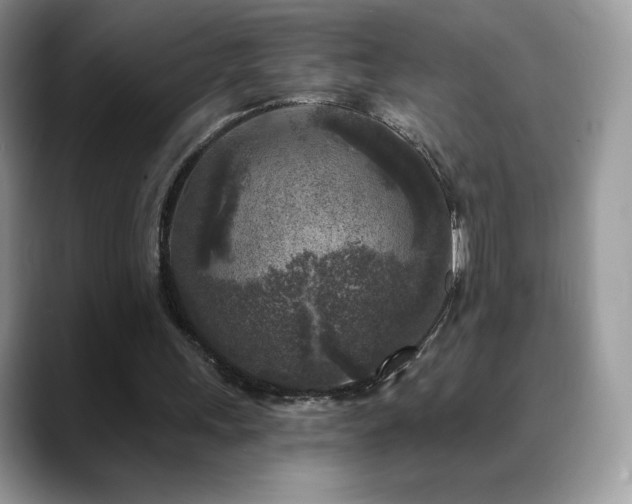 X0000088920243200706081404