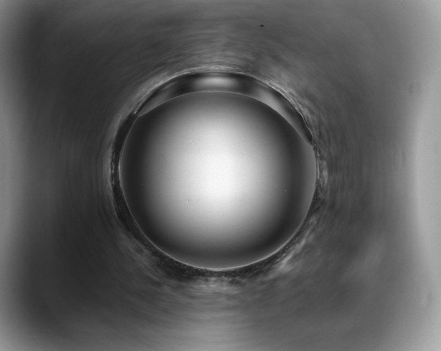 X0000088920244200706081404