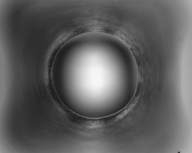 X0000088920245200706081404