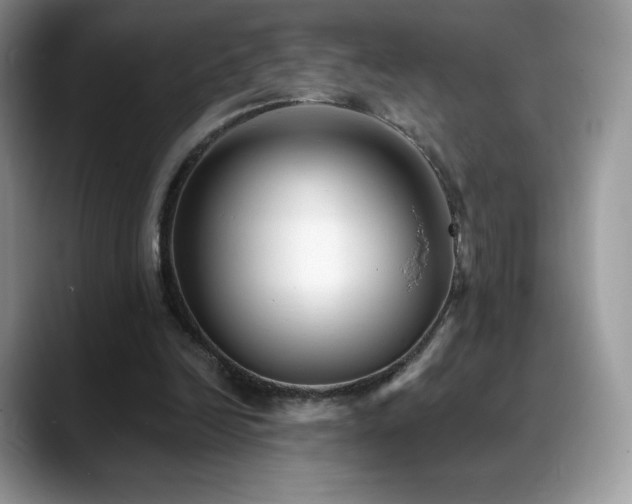X0000088920246200706081404