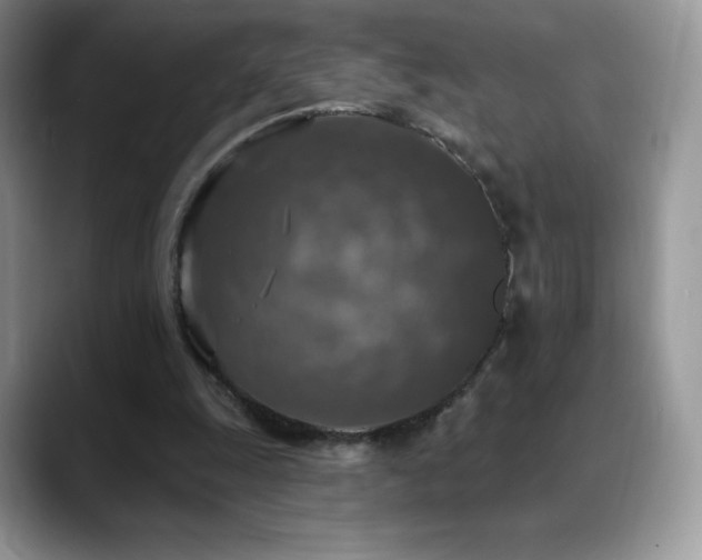 X0000088920247200706081404