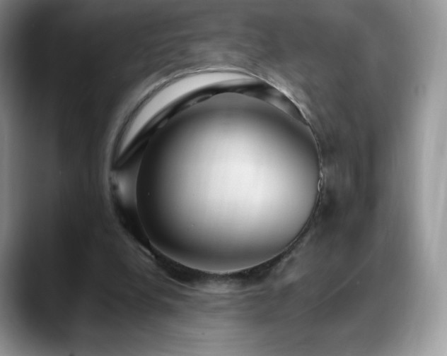 X0000088920248200706081404