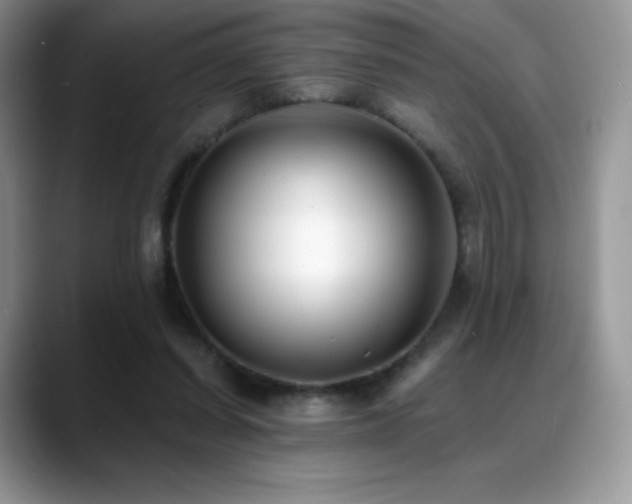 X0000088920254200706081404