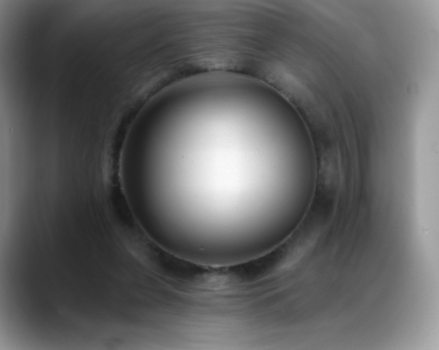 X0000088920255200706081404