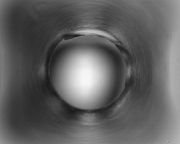 X0000088920256200706081404