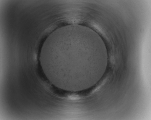 X0000088920258200706081404
