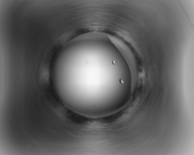 X0000088920259200706081404