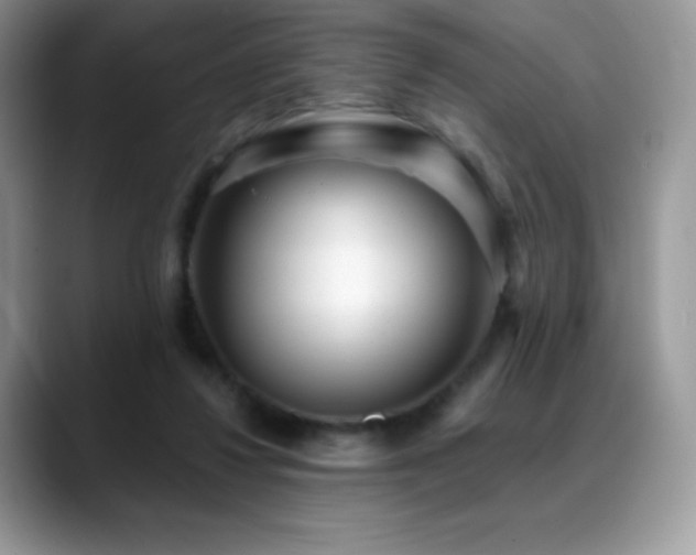X0000088920260200706081404