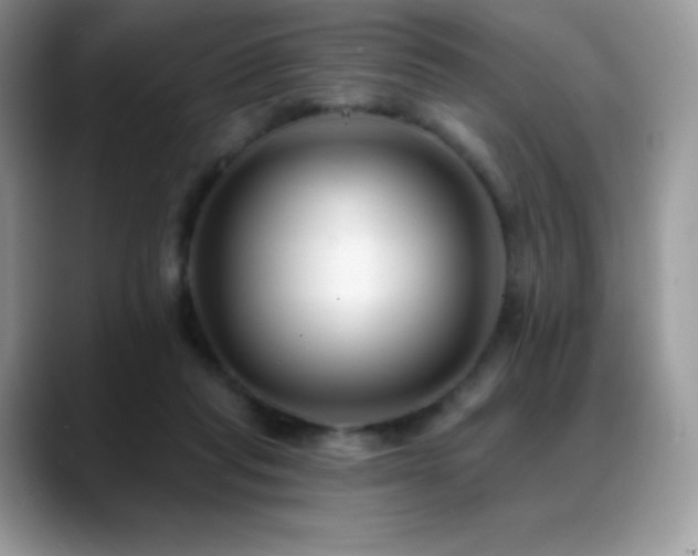 X0000088920261200706081404