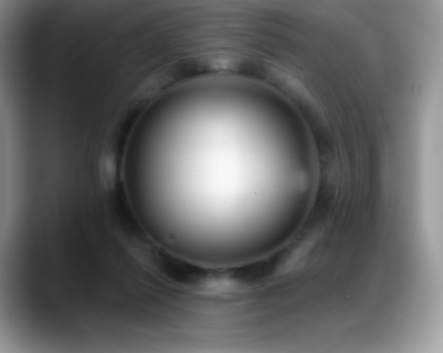 X0000088920262200706081404