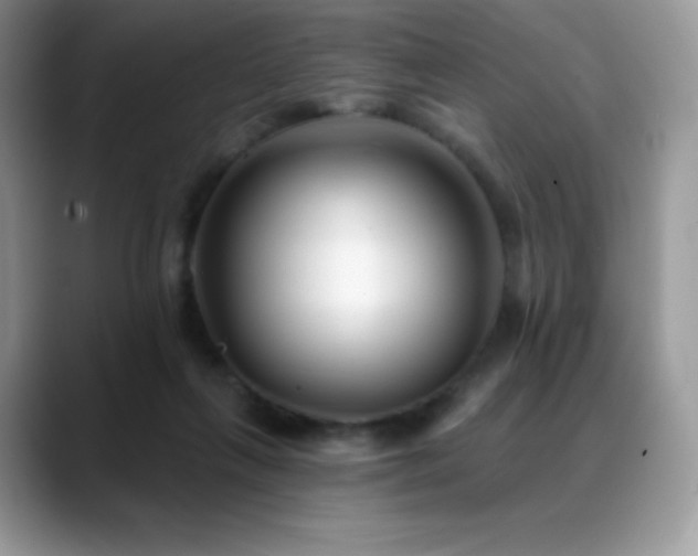 X0000088920263200706081404