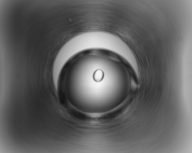 X0000088920264200706081404