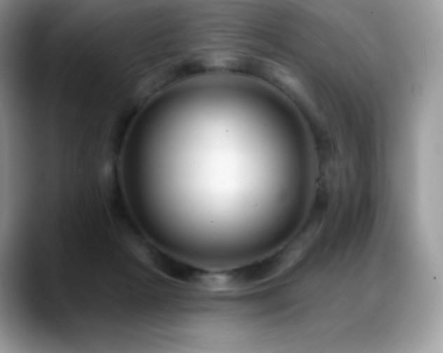 X0000088920265200706081404