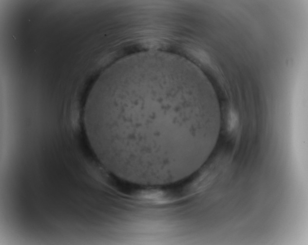 X0000088920266200706081404