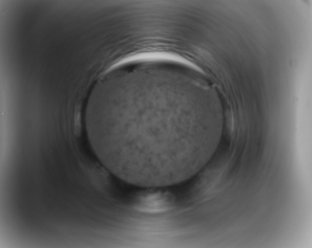 X0000088920267200706081404