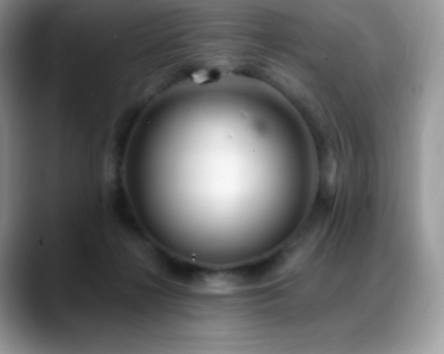 X0000088920268200706081404