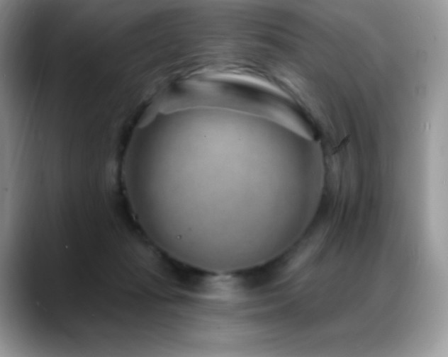 X0000088920269200706081404