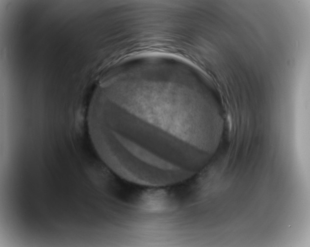 X0000088920271200706081404