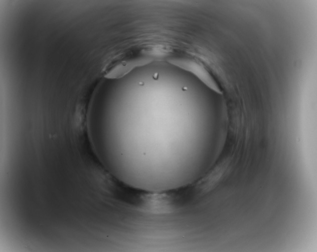 X0000088920273200706081405