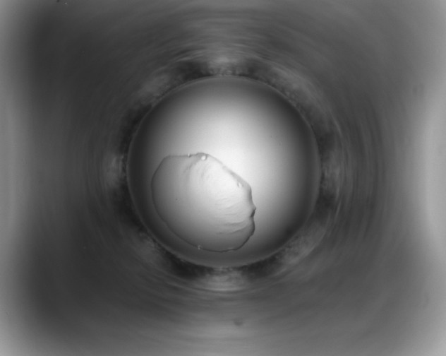 X0000088920278200706081405