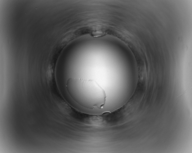 X0000088920279200706081405