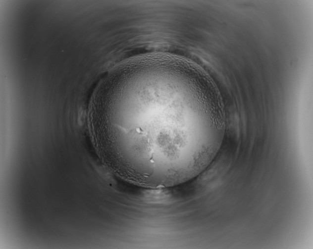 X0000088920281200706081405
