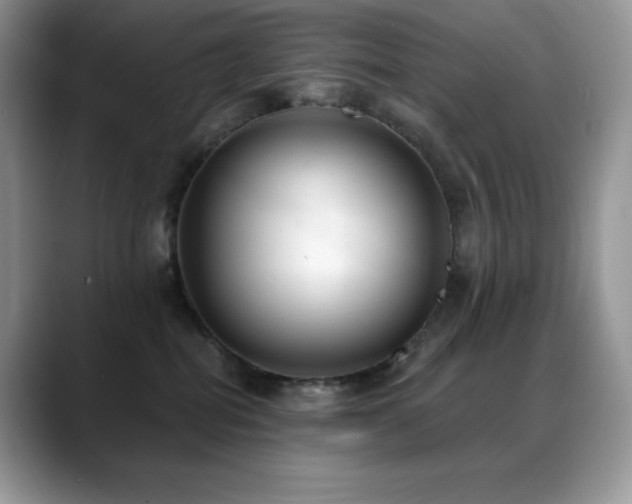 X0000088920282200706081405