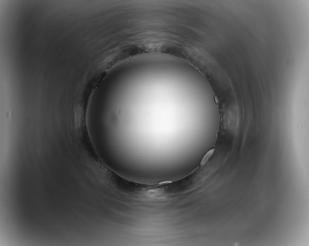 X0000088920283200706081405